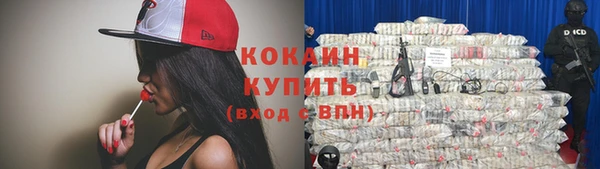 ПСИЛОЦИБИНОВЫЕ ГРИБЫ Богданович