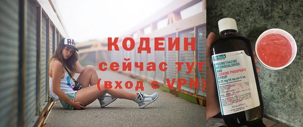 ПСИЛОЦИБИНОВЫЕ ГРИБЫ Богданович